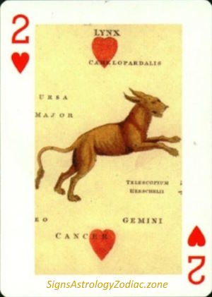 2 - Lynx - Two of Hearts - SignsAstrologyZodiac.zone