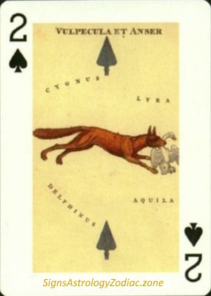 2 - Vulpecula At Anser - Two of Spades - SignsAstrologyZodiac.zone