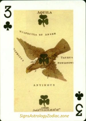 3 - Aquila - Three of Clubs - SignsAstrologyZodiac.zone