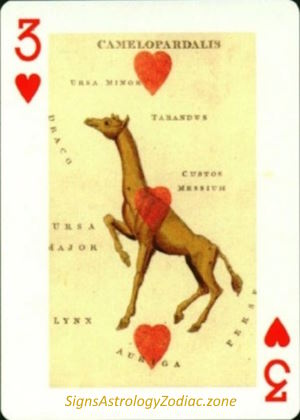 3 - Camelopardalis - Three of Hearts SignsAstrologyZodiac.zone