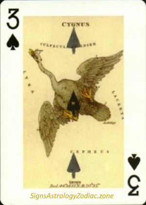 3 - Cygnus - Three of Spades - SignsAstrologyZodiac.zone
