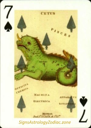 7 - Cetus - Seven of Spades - SignsAstrologyZodiac.zone
